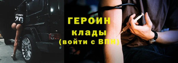 гашик Алексин