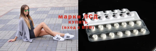 гашик Алексин