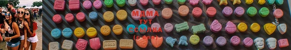 гашик Алексин