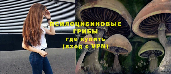 гашик Алексин