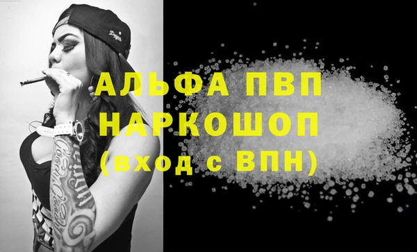 гашик Алексин